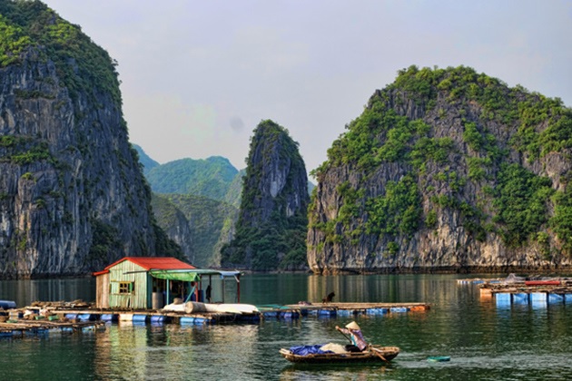 6 day quick view with Vietnam please tour (best deal)