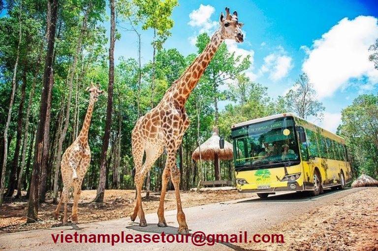 Tour Phu Quoc 3 days to enjoy selfie at highlight famous attraction
