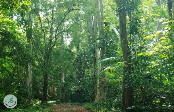 Phu Quoc national park