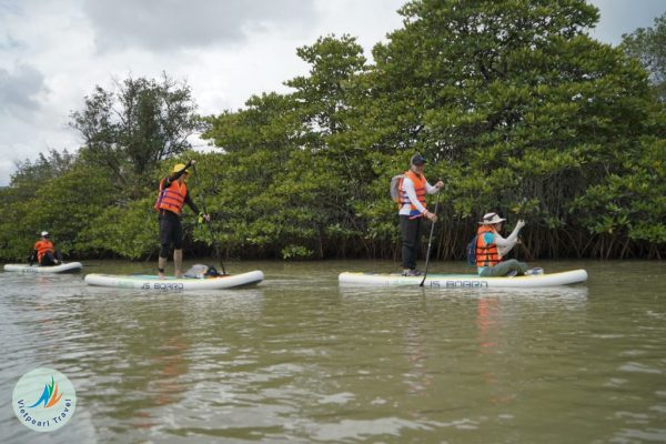 Experience sup rowing in Rach Vem fishing village