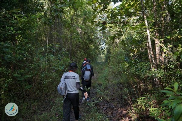 Phu Quoc national park trekking