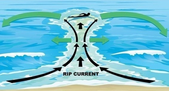 The rip current's displacement