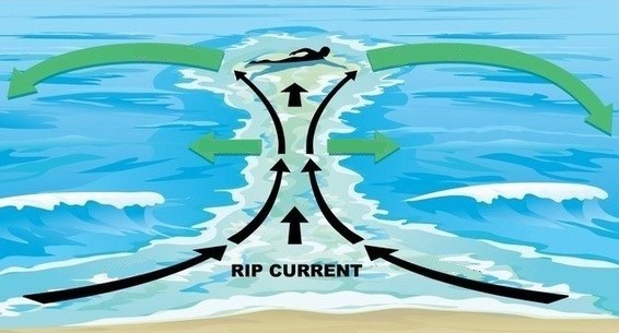 The rip current's displacement 