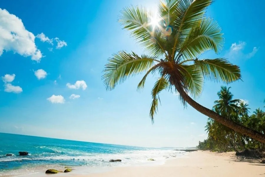 Bai Sao beach is one of the most beautiful tropical sandy beaches in Phu Quoc