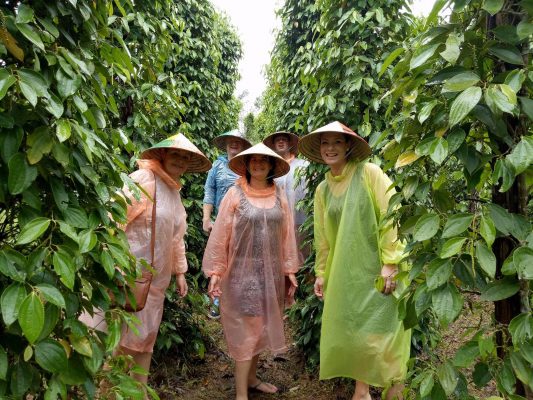 Visitors are enjoying their time at one of Phu Quoc pepper farms