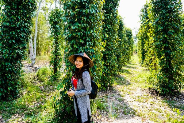 Visitors can experience the real-life daily routine of a pepper farmer (Source: Unknown)